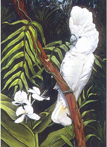 White Cockatoo & Wild Ginger - White or Umbrella Cockatoo by Linda Parkinson