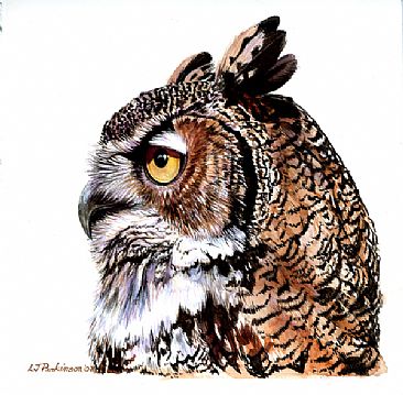 Great Horned Owl Portrait (SOLD) -  by Linda Parkinson