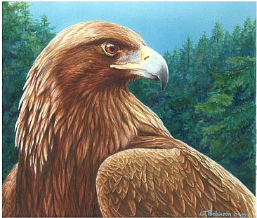 Golden - Golden Eagle  by Linda Parkinson