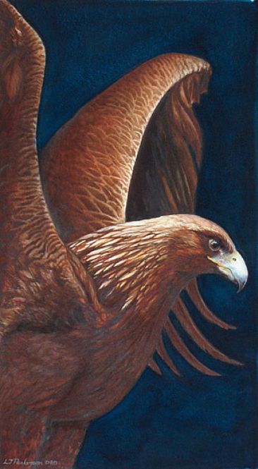 Golden Wing - Golden Eagle by Linda Parkinson