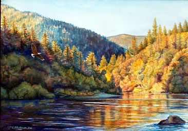 Klamath Gold - Klamath River, Bald Eagle by Linda Parkinson
