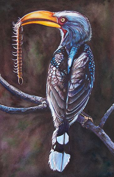 Leggy Lunch(Sold) - Yellow-billed Hornbill with centipiede by Linda Parkinson