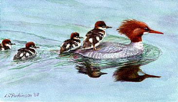 Are We There Yet? - Merganser Family by Linda Parkinson