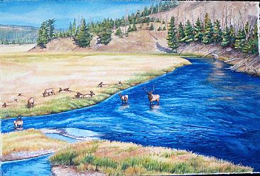 Royalty in Blue - Elk Herd in Yellowstone National Park by Linda Parkinson