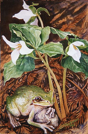 Tree Frog & Trillium - Tree Frog and White Trillium by Linda Parkinson