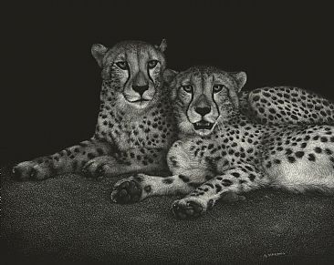 Jake & Elwood - Cheetahs by Diane Versteeg