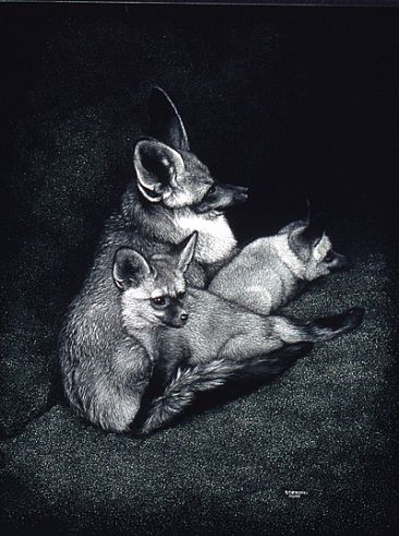 Herman and Pups - Bat-eared Foxes by Diane Versteeg