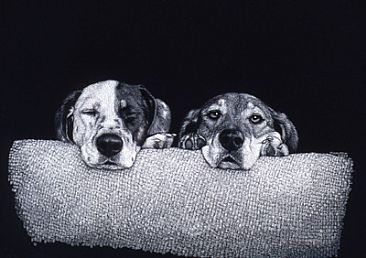 Buster & Annie - Mixed breeds by Diane Versteeg
