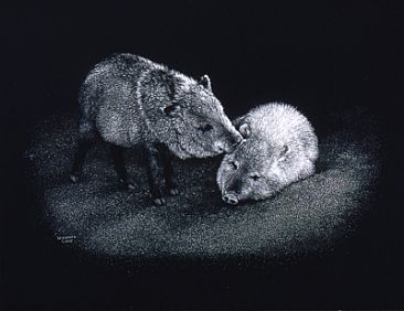 Dos Amigos - Collared Peccaries by Diane Versteeg