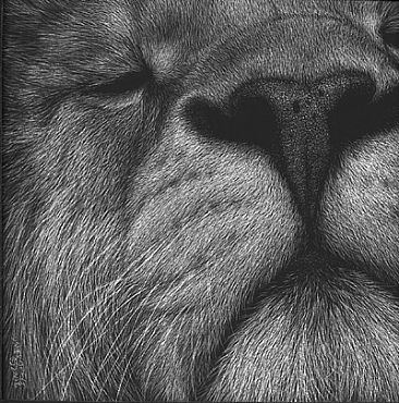 Leonard I - African Lion by Diane Versteeg