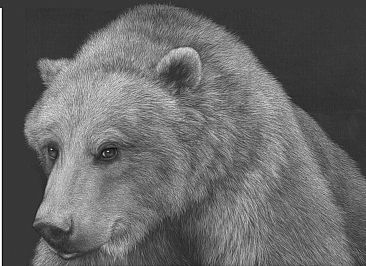 Rosy II - Grizzly Bear by Diane Versteeg