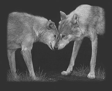 Nehani & Ramses - Gray Wolves by Diane Versteeg