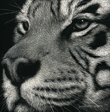 Kasey - Tiger by Diane Versteeg