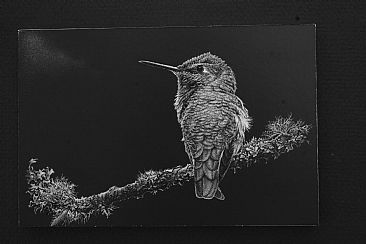 Object of His Affection/Diptych Part 2 - Female Anna's Hummingbird by Kathleen  Dunn