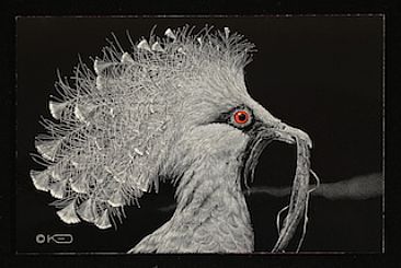 The Offering - Victoria Crowned Pigeon by Kathleen  Dunn