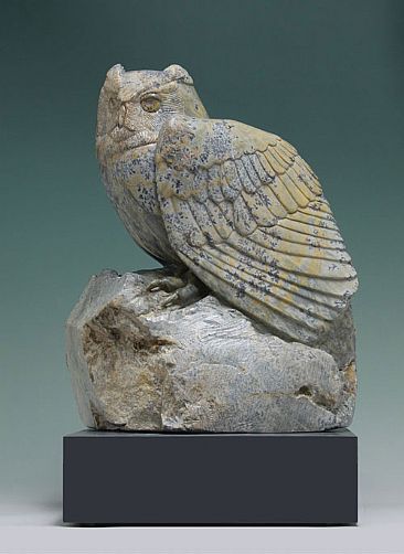 WATCHFUL WAITING - Owl by Clarence Cameron