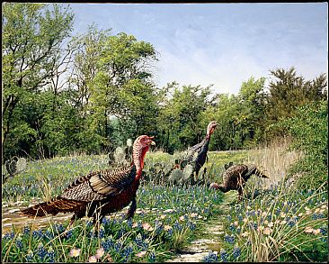 Turkeys on the Deer Trail - Wild Rio Grande Turkeys by Kenneth Helgren