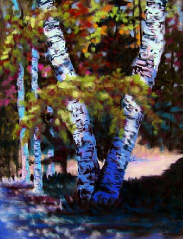 Ancient Birch - Birch Trees  Landscape by Betsy Popp