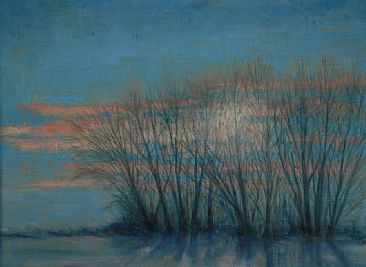 Sunset Shadows - Landscape by Betsy Popp