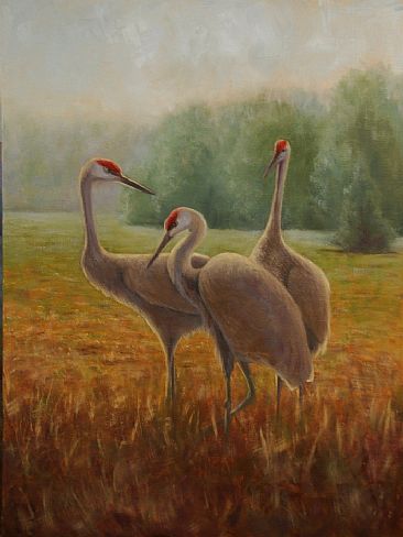 Sandhill Trio - SOLD - Sandhill Cranes by Betsy Popp