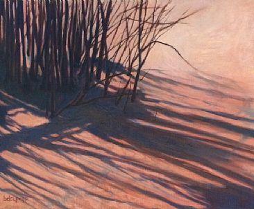 Shadow Marks - Landscape by Betsy Popp