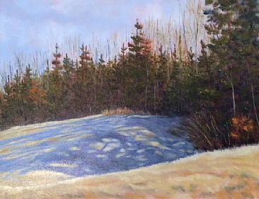 Casting Shadows - Landscape by Betsy Popp