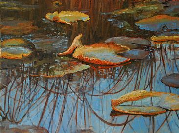 Morning Lilies - Lilly Pads, Water by Betsy Popp