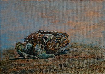 Cold Toad - Toad by Betsy Popp
