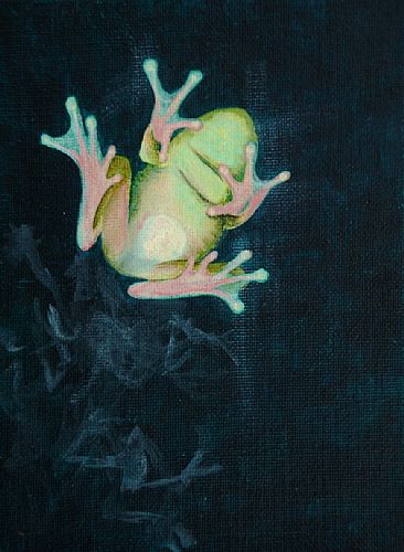 Window Creeper - Frog by Betsy Popp