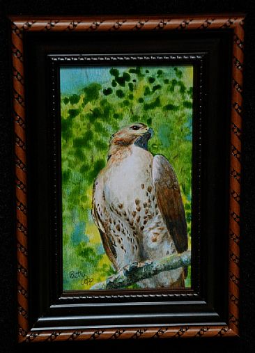 Regal Pose - SOLD - Red Tail Hawk by Betsy Popp