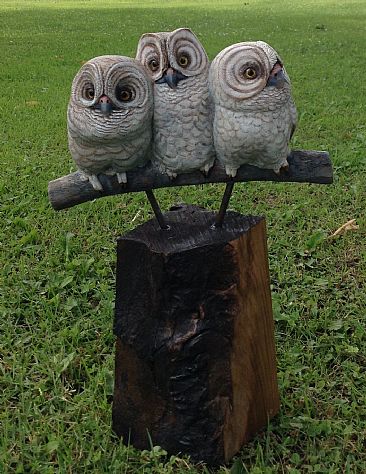 Make Some Room - SOLD - Immature owls by Betsy Popp
