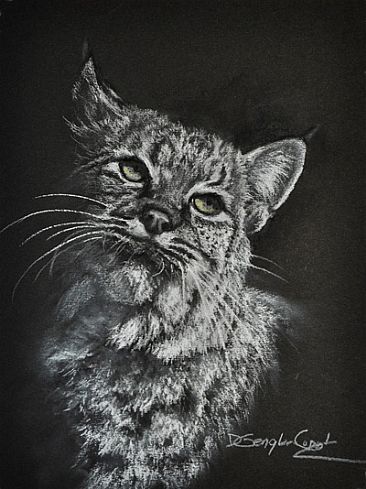 Bobcat - Bobcat by Deb Gengler-Copple