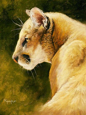 In the Gold - mountain lion by Deb Gengler-Copple