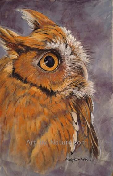 Little Red - screech owl - screech owl by Deb Gengler-Copple
