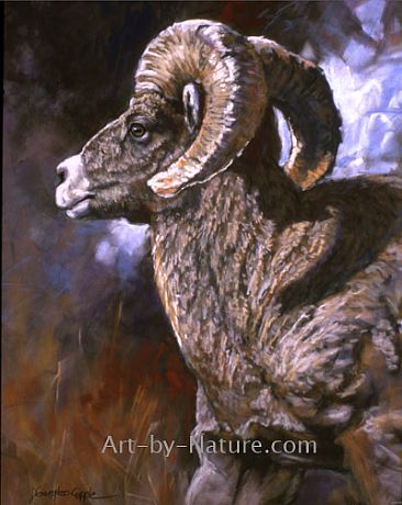 Power Pack - Big horn sheep by Deb Gengler-Copple