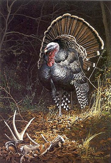 Woodland Warrior - Wild Turkey, White tail shed,  Chipmunk by Christopher Walden