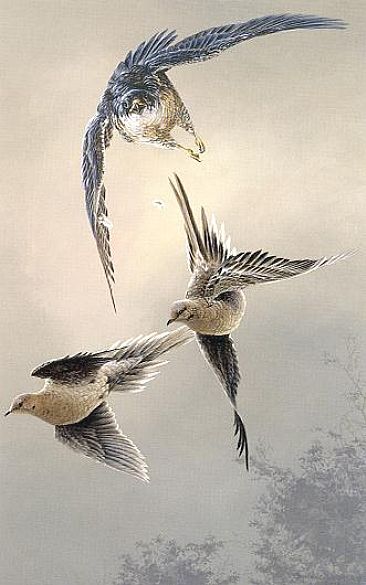 A Wing and A Preyer - Peregrine Falcon and Mourning Doves by Christopher Walden