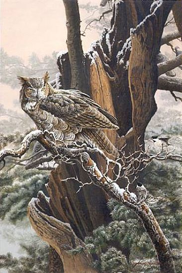 Morning Reveille - Chickadees, Great-horned Owl, Wild Turkeys by Christopher Walden