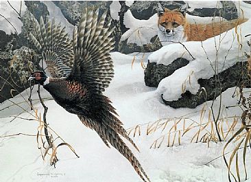 Close Encounters - red fox and pheasant by Christopher Walden
