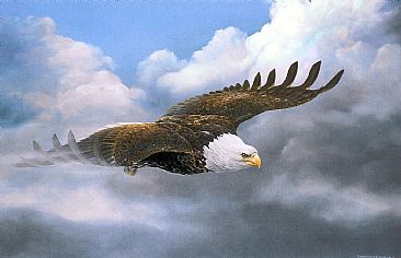 Cloud 9 - Bald Eagle by Christopher Walden
