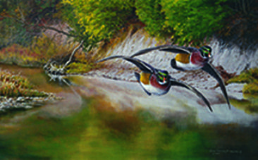 Flying Colors - Wood Ducks by Christopher Walden