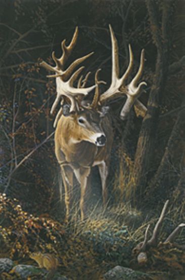 Fortunate Son - Deer by Christopher Walden