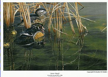 Sittin Ducks - Woodducks and a muskie by Christopher Walden