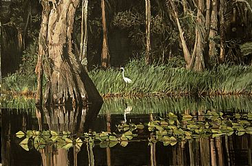 Cypress Swamp at Dawn - A lone Egret is strolling among old cypress trees. by Mary Louise O'Sullivan