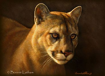 Cougar - Cougar by Bonnie Latham