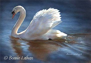 Elegant Reflection - Mute Swan by Bonnie Latham