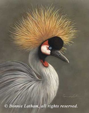 Gray Crowned Crane - Gray Crowned Crane by Bonnie Latham