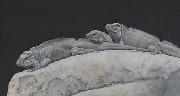 Our Dinosaurs - Rhinoceros Iguanas by Sandra Temple