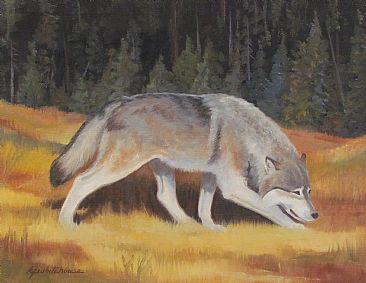Gray Wolf - Gray Wolf by Kitty Whitehouse