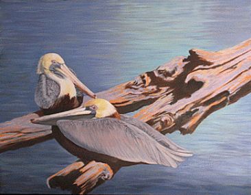 One Eyed Jacks (Brown Pelicans) - Brown Pelicans by Kitty Whitehouse